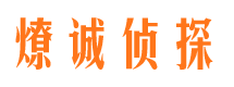 田阳侦探